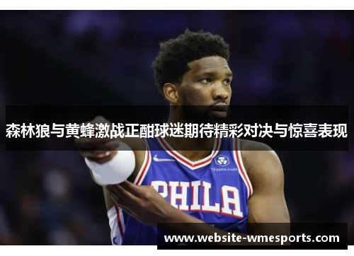 森林狼与黄蜂激战正酣球迷期待精彩对决与惊喜表现