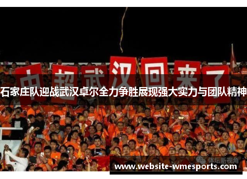 石家庄队迎战武汉卓尔全力争胜展现强大实力与团队精神