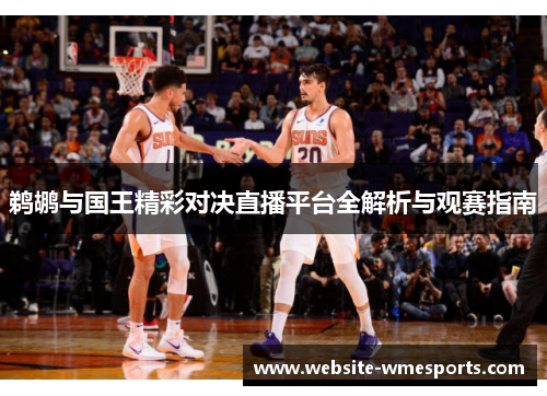 鹈鹕与国王精彩对决直播平台全解析与观赛指南